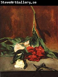 Edouard Manet Peony Stem and Shears